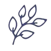 Leaf icon